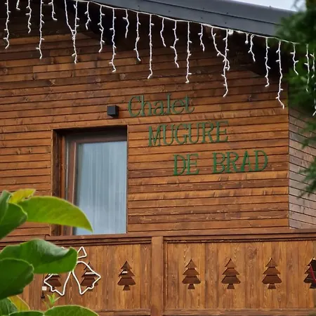 Mugure De Brad Affittacamere